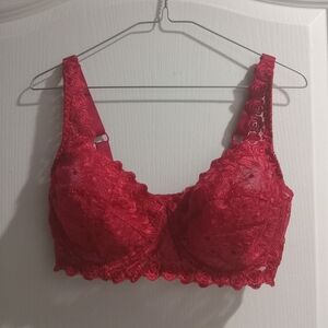 Ashro Scarlet Lace Bra